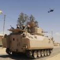 Captured Egyptians freed in Sinai