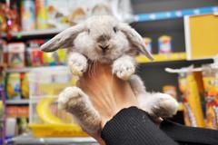 petsmart beats q1 earnings estimates, lifts outlook