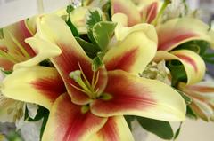 Rocky Hill Obituaries: Castanho, Fagan, Maguire, Pugliese