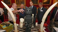 Princes unite against animal trafficking