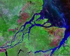 amazon river exhales virtually all carbon taken up by rain forest